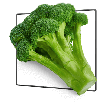 broccoli floret