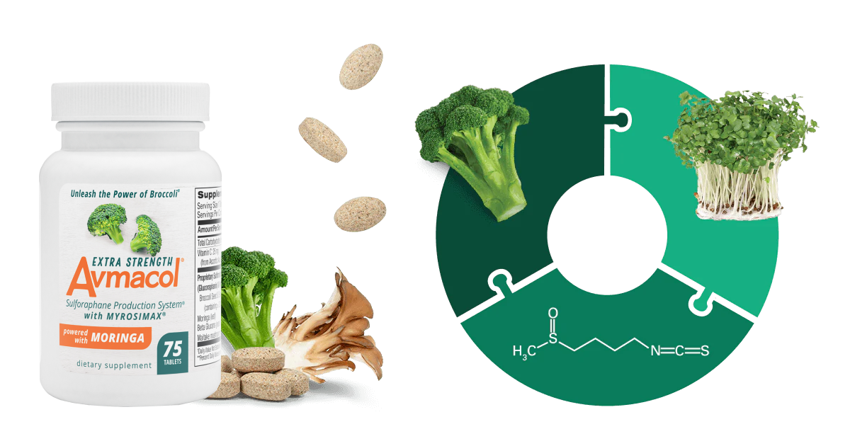 Avmacol Extra Strength with tablets, broccoli floret, maitake mushroom with diagram of sulforaphane production
